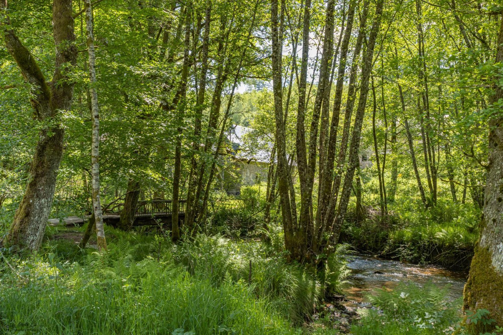 Nature Le Moulin
