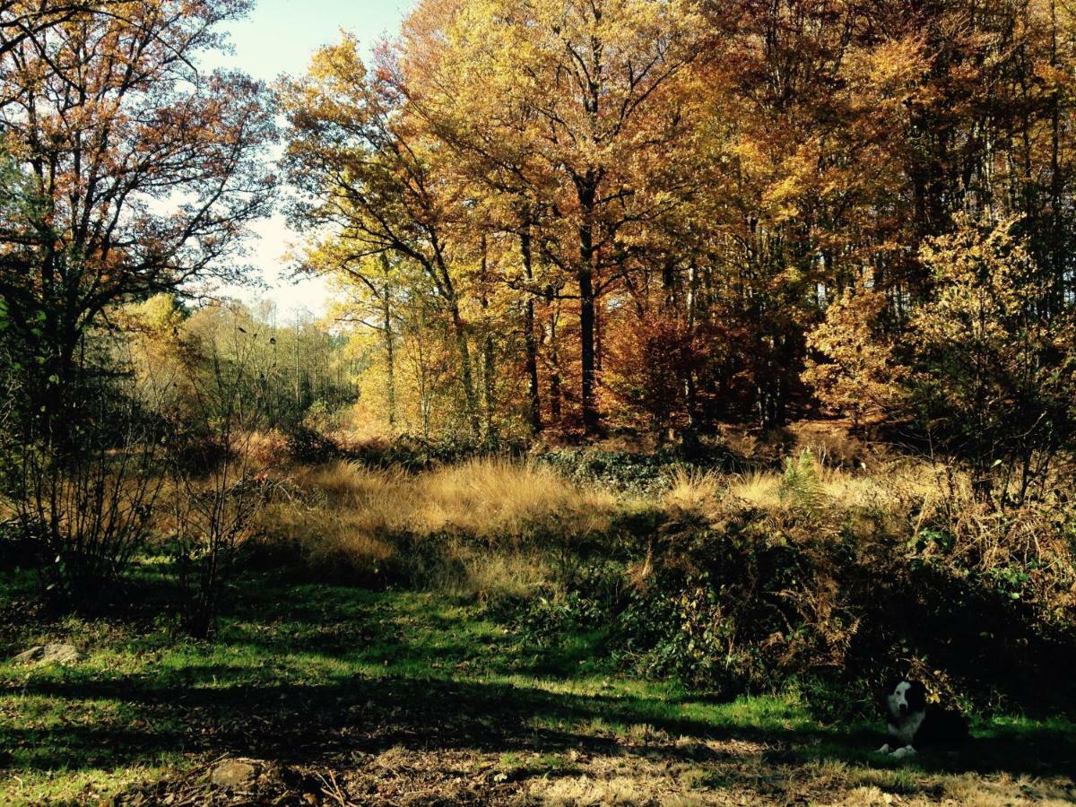 Ferienhaus Nature Le Moulin